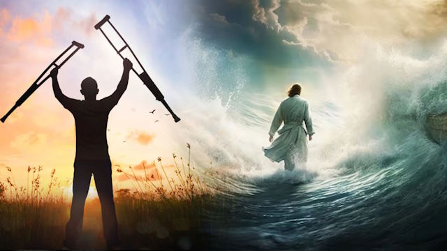 Dons de manifestação II